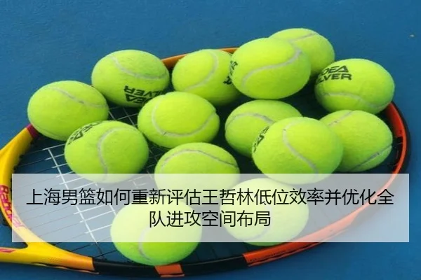 shang-hai-nan-lan-ru-he-chong-xin-ping-gu-wang-zhe-lin-di-wei-xiao-lv-bing-you-hua-quan-dui-jin-gong-kong-jian-bu-ju-1-469.jpg